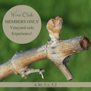 WINE CLUB MEMBERS ONLY Vineyard-side Experience